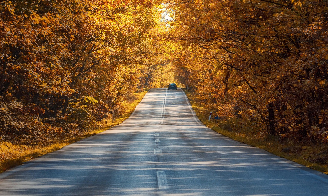 A car driving down a scenic road lined with autumn trees.