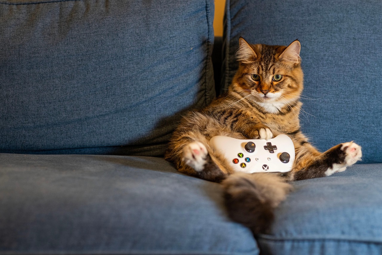 A fluffy tabby cat sitting upright on a blue sofa while holding a white game controller.